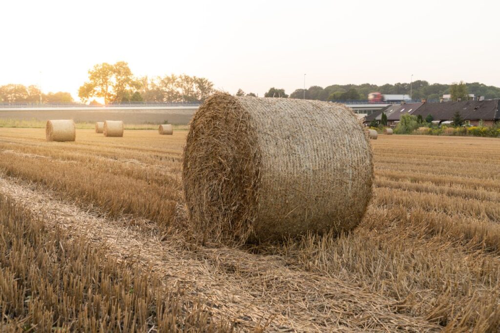 Z-WRAP silage bale wrap — gallery