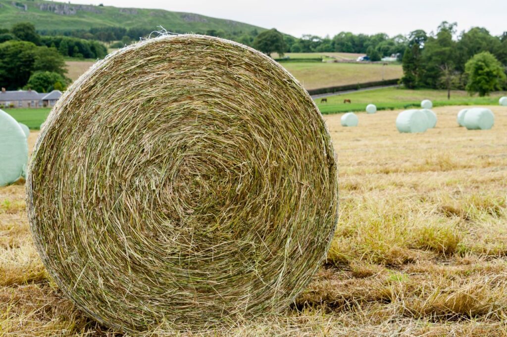 OKAPI bale net wrap — gallery