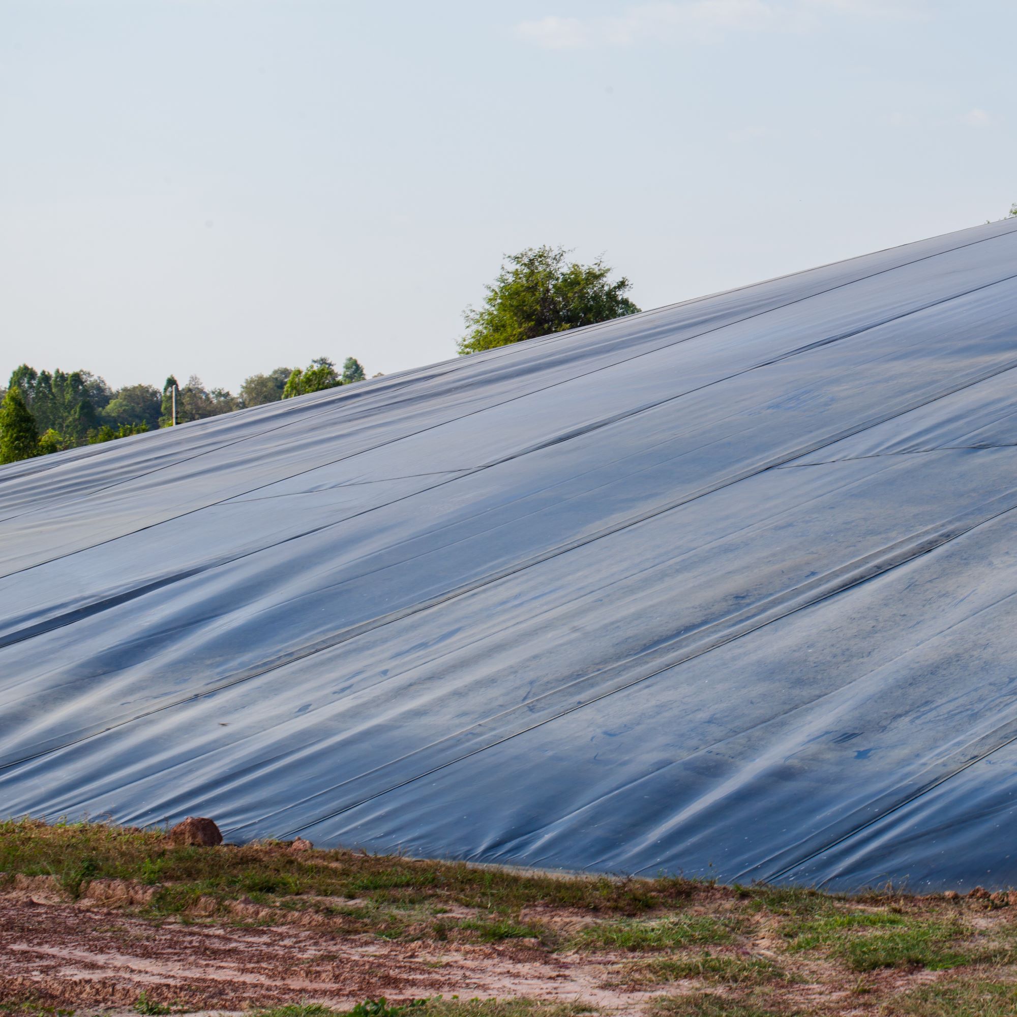 Silage clamp covered with silage sheeting — ZEUS EPICROP image