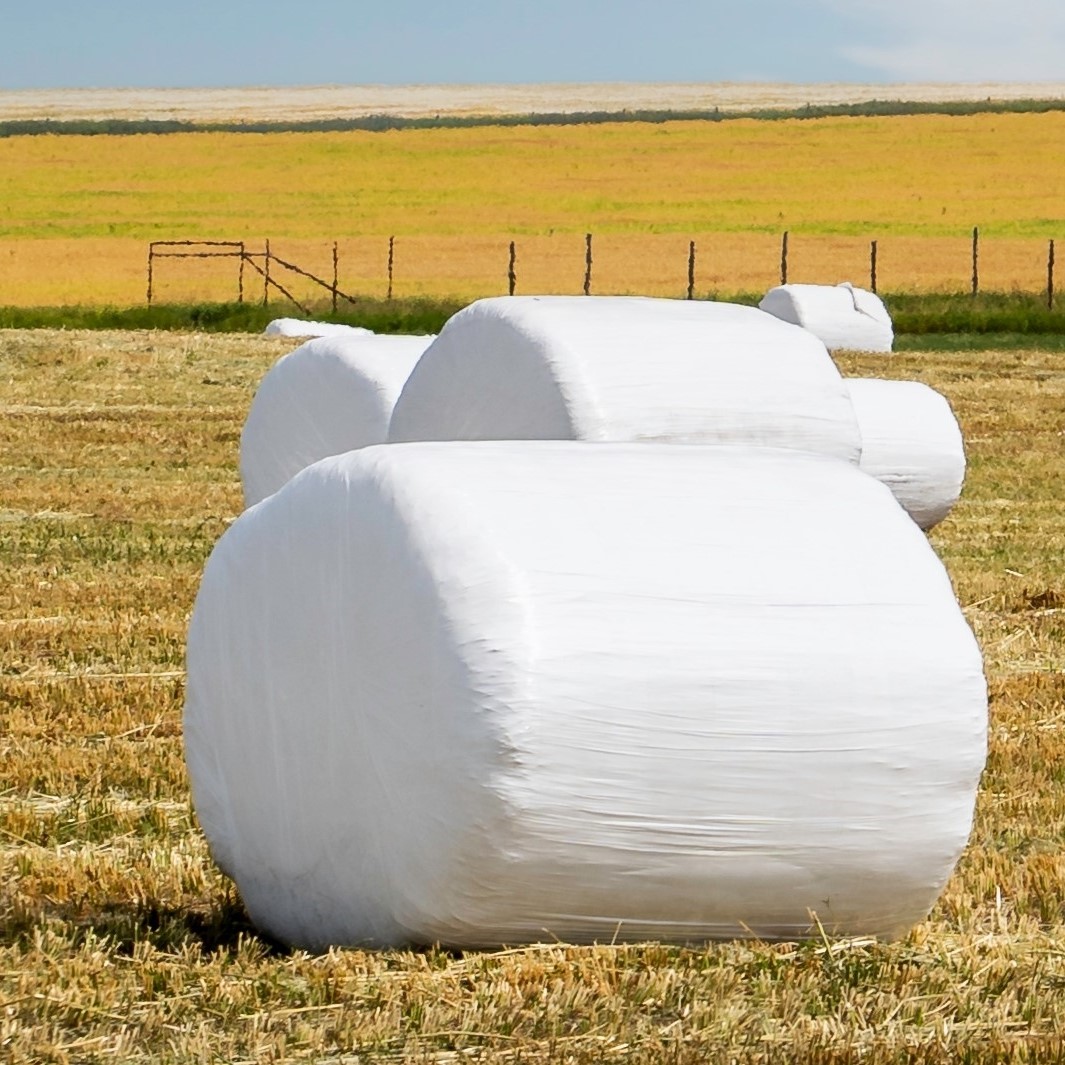 Bales wrapped in white agricultural film — ZEUS EPICROP image